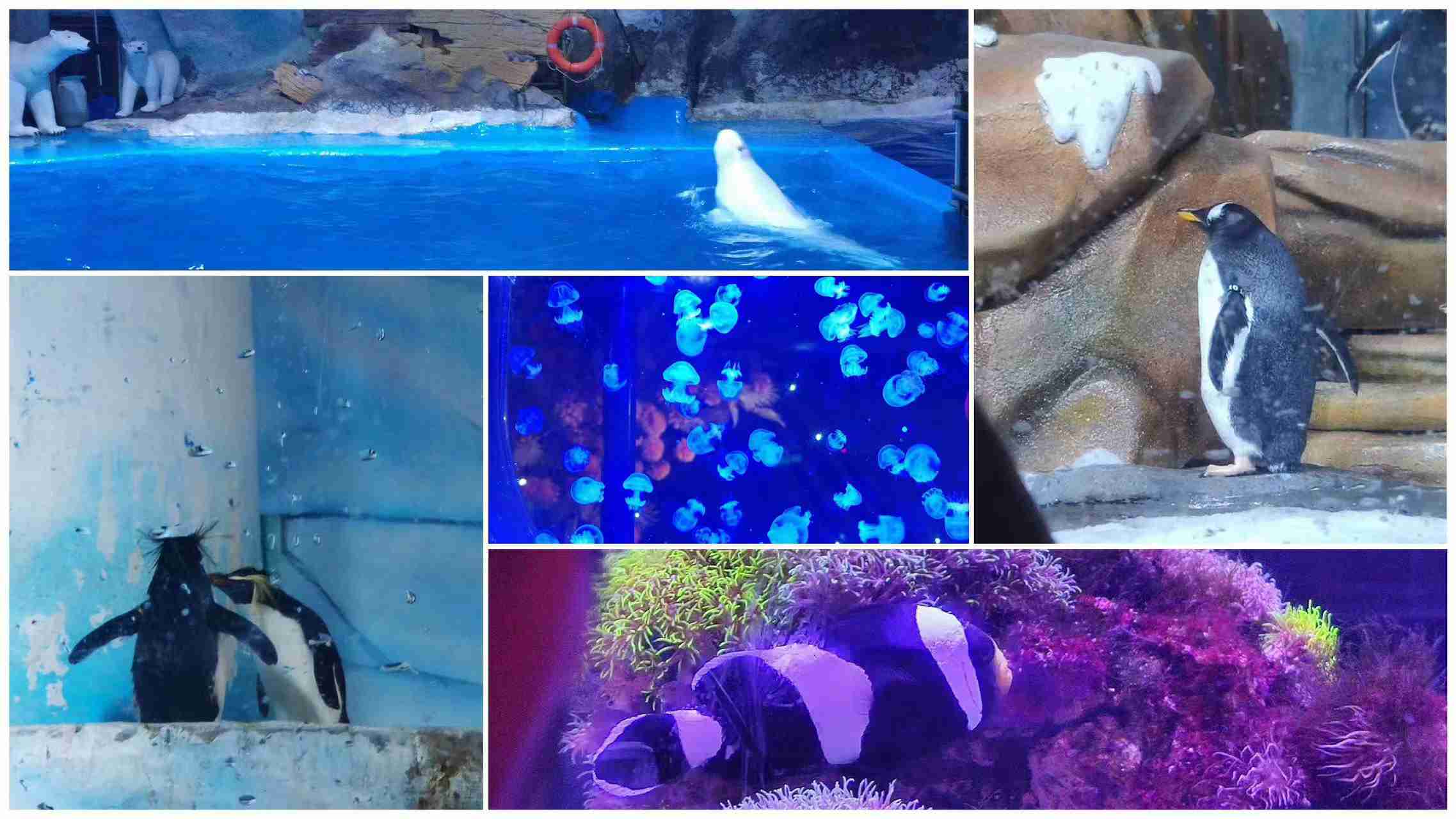 AG��˾(�й�����)�����޹�˾����