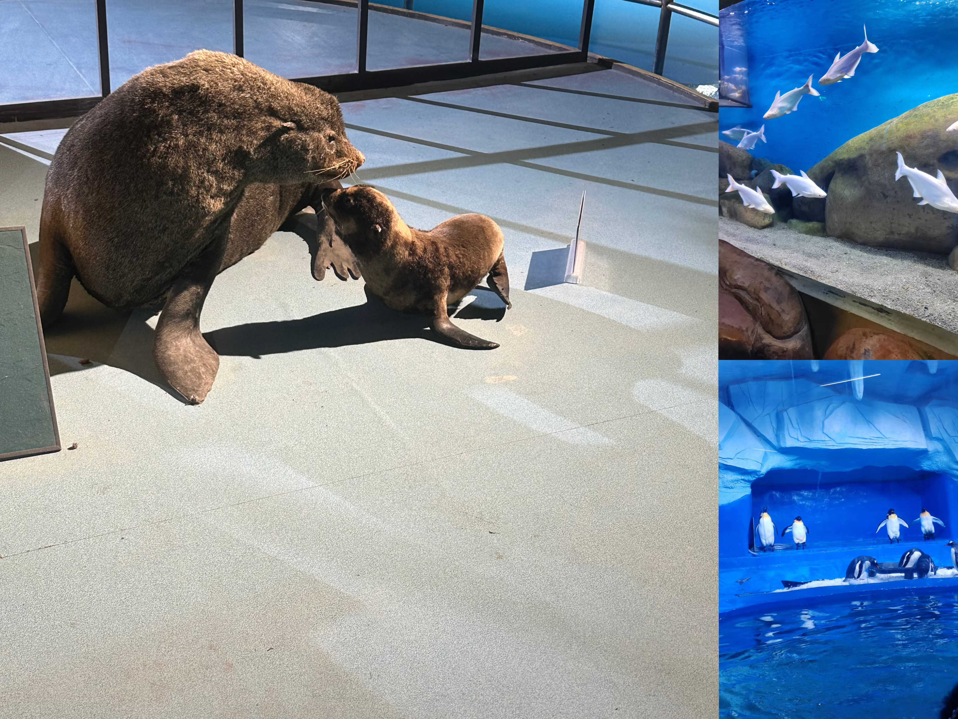 AG��˾(�й�����)�����޹�˾����